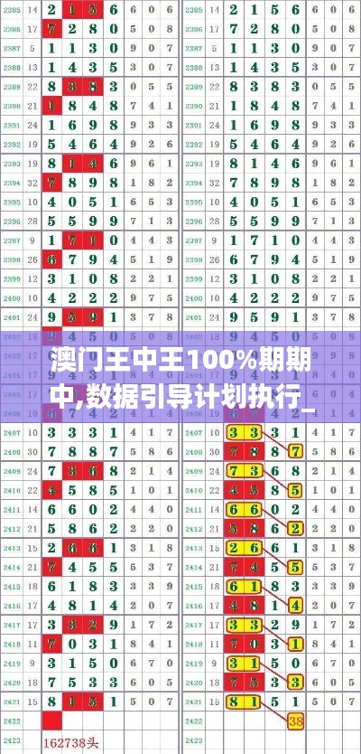 澳門王中王100%期期中,數據引導計劃執(zhí)行_儲蓄版10.913