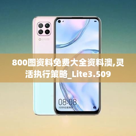 800圖資料免費(fèi)大全資料澳,靈活執(zhí)行策略_Lite3.509