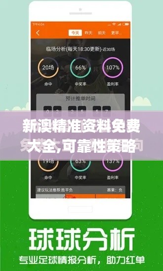 新澳精準(zhǔn)資料免費大全,可靠性策略解析_Galaxy9.582