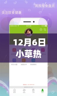 揭秘小草熱門app破解版背后的真相與風險，犯罪行為的警示鐘敲響！