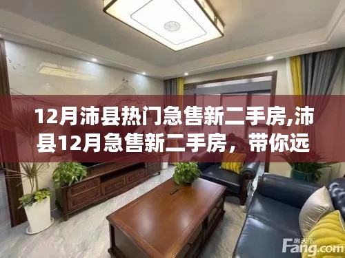 沛縣12月熱門(mén)急售新二手房，遠(yuǎn)離塵囂的詩(shī)意家園探索之旅