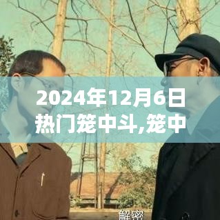 籠中斗趣，2024年12月6日的溫馨日常