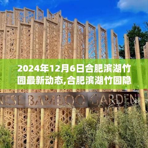 揭秘合肥濱湖竹園寶藏小店，一場獨(dú)特的探索之旅（最新動(dòng)態(tài)）