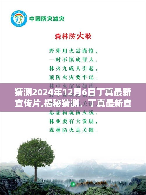 揭秘猜測，丁真最新宣傳片亮相預告 2024年12月6日，純真相遇時刻！