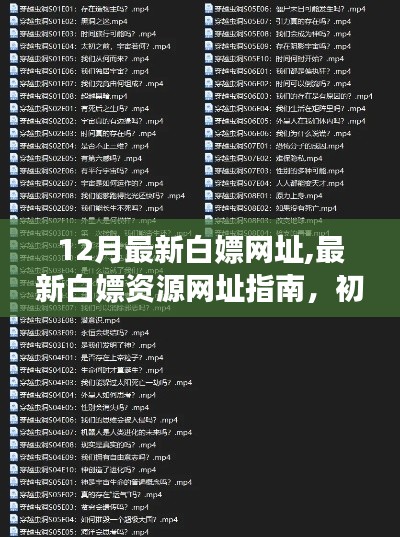 12月最新白嫖網(wǎng)址大全，從初學(xué)者到進(jìn)階用戶的資源獲取指南