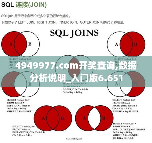入門版