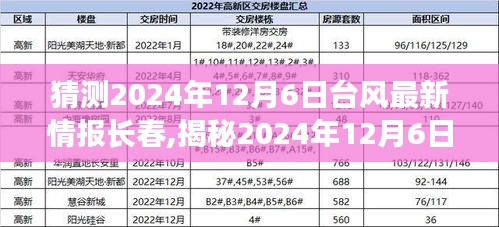 揭秘2024年12月6日臺風(fēng)最新動態(tài)，長春備戰(zhàn)，臺風(fēng)預(yù)警與應(yīng)對措施全解析