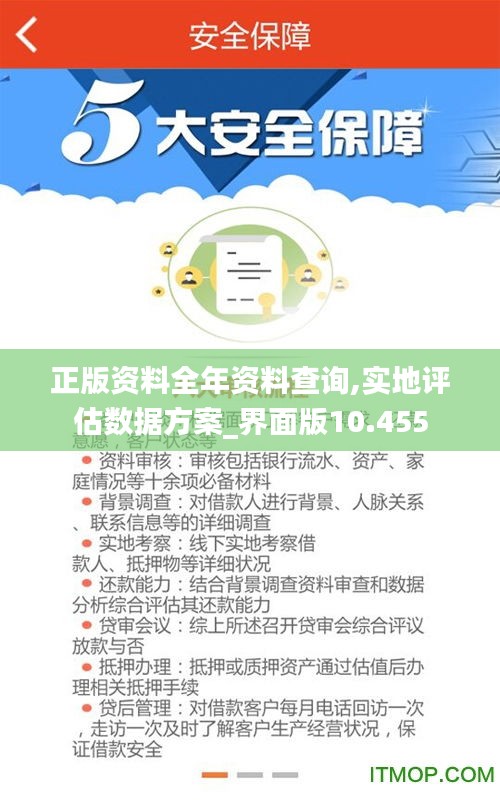 正版資料全年資料查詢,實地評估數(shù)據(jù)方案_界面版10.455