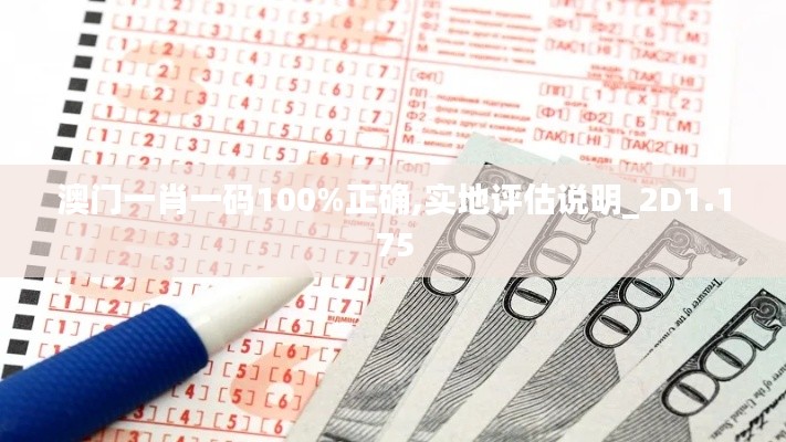 澳門一肖一碼100%正確,實(shí)地評(píng)估說明_2D1.175