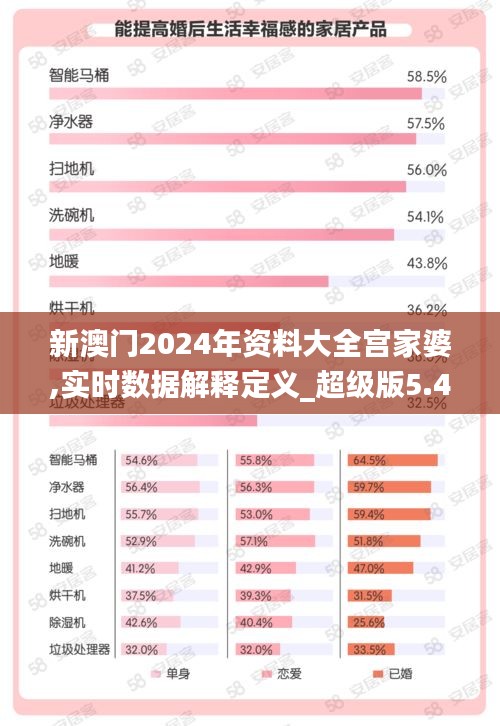 新澳門2024年資料大全宮家婆,實時數(shù)據(jù)解釋定義_超級版5.428