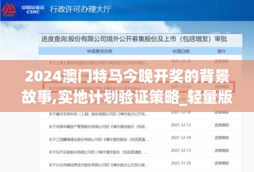 2024澳門特馬今晚開獎(jiǎng)的背景故事,實(shí)地計(jì)劃驗(yàn)證策略_輕量版8.299