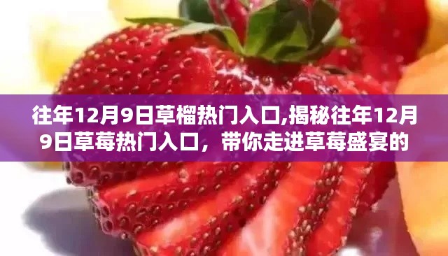 揭秘往年12月9日草莓熱門入口，盛宴開啟，帶你走進(jìn)甜美世界！
