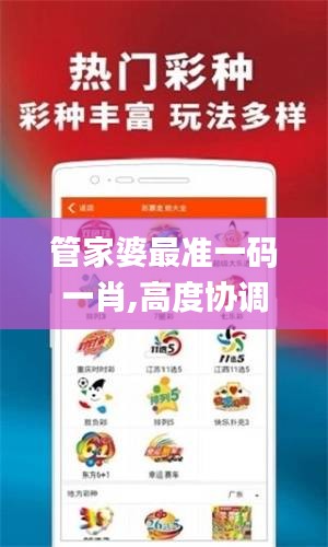 管家婆最準一碼一肖,高度協(xié)調(diào)策略執(zhí)行_標準版9.763