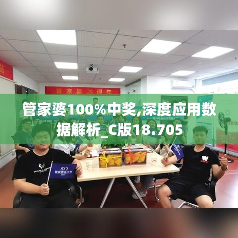 管家婆100%中獎,深度應(yīng)用數(shù)據(jù)解析_C版18.705