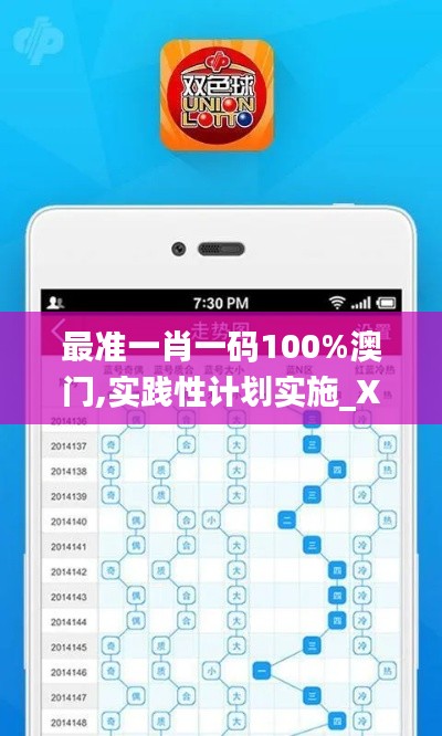 最準(zhǔn)一肖一碼100%澳門(mén),實(shí)踐性計(jì)劃實(shí)施_X版1.574