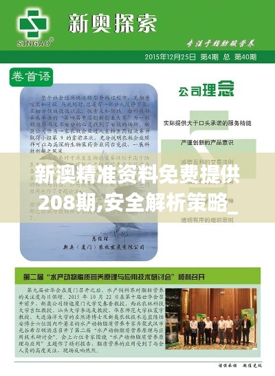新澳精準資料免費提供208期,安全解析策略_開發(fā)版12.664