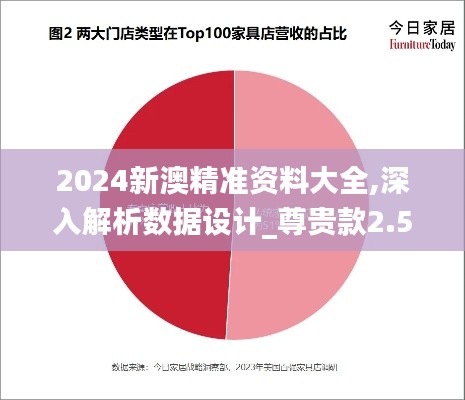2024新澳精準(zhǔn)資料大全,深入解析數(shù)據(jù)設(shè)計(jì)_尊貴款2.561