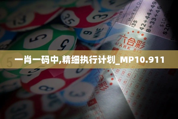 一肖一碼中,精細執(zhí)行計劃_MP10.911