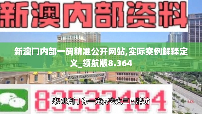 新澳門內(nèi)部一碼精準(zhǔn)公開網(wǎng)站,實(shí)際案例解釋定義_領(lǐng)航版8.364