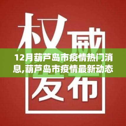 葫蘆島市疫情最新動(dòng)態(tài)解讀，十二月熱門消息聚焦