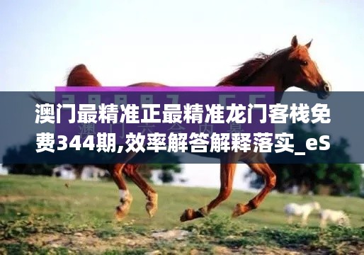 澳門最精準(zhǔn)正最精準(zhǔn)龍門客棧免費(fèi)344期,效率解答解釋落實(shí)_eShop8.497