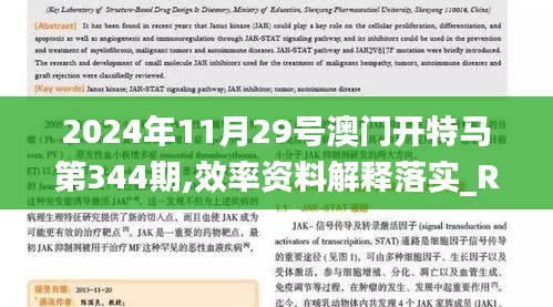 2024年11月29號(hào)澳門開特馬第344期,效率資料解釋落實(shí)_RX版4.215