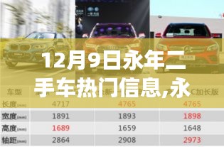 揭秘永年二手車市場最新動向，熱門高科技二手車發(fā)布及新動向解析