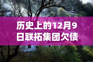 歷史上的12月9日聯(lián)拓集團欠債最新消息,探秘小巷深處的寶藏，聯(lián)拓集團欠債風(fēng)波下的隱藏特色小店