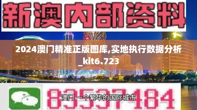 2024澳門(mén)精準(zhǔn)正版圖庫(kù),實(shí)地執(zhí)行數(shù)據(jù)分析_kit6.723