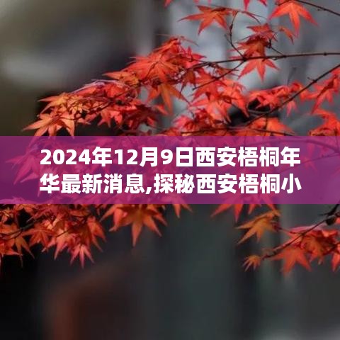 2024年12月9日西安梧桐年華最新消息,探秘西安梧桐小巷，一家隱藏于歲月靜好之處的特色小店