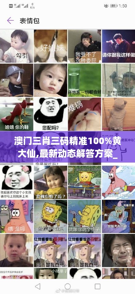 澳門(mén)三肖三碼精準(zhǔn)100%黃大仙,最新動(dòng)態(tài)解答方案_QHD4.706