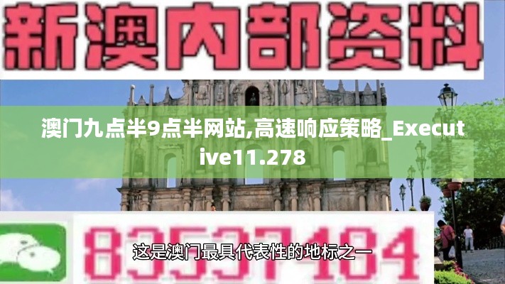 澳門九點(diǎn)半9點(diǎn)半網(wǎng)站,高速響應(yīng)策略_Executive11.278