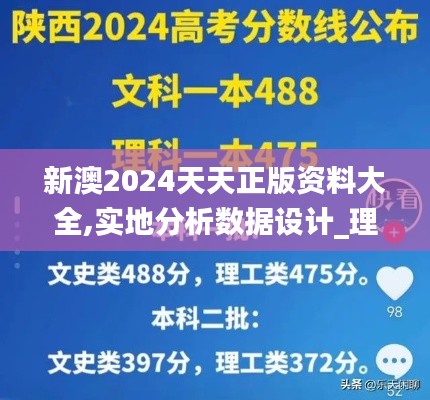 新澳2024天天正版資料大全,實地分析數(shù)據(jù)設(shè)計_理財版4.475