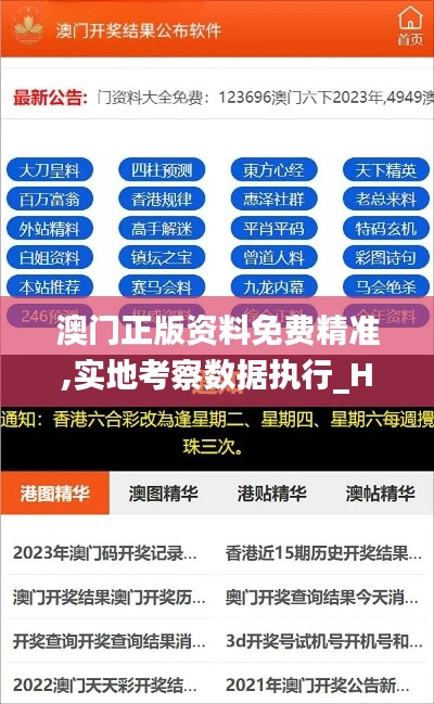 澳門正版資料免費(fèi)精準(zhǔn),實(shí)地考察數(shù)據(jù)執(zhí)行_HDR版8.378