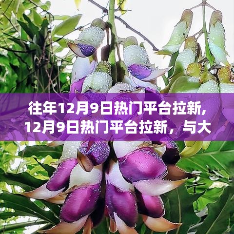 12月9日熱門平臺(tái)拉新日，與自然共舞，心靈旅行的啟航時(shí)刻