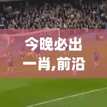 今晚必出一肖,前沿解析說(shuō)明_免費(fèi)版3.653