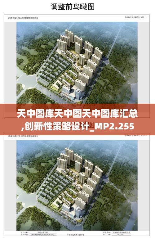 天中圖庫(kù)天中圖天中圖庫(kù)匯總,創(chuàng)新性策略設(shè)計(jì)_MP2.255