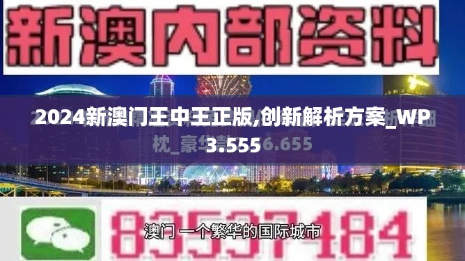 2024新澳門(mén)王中王正版,創(chuàng)新解析方案_WP3.555