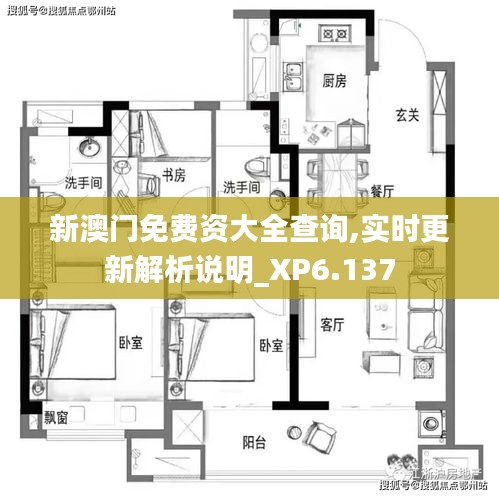 新澳門免費(fèi)資大全查詢,實(shí)時(shí)更新解析說明_XP6.137