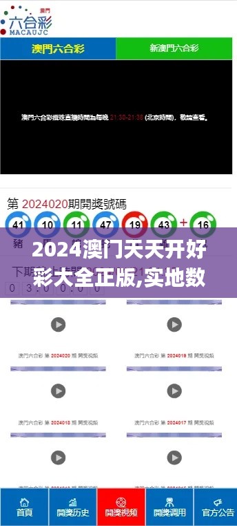 2024澳門天天開好彩大全正版,實地數(shù)據(jù)驗證分析_安卓版2.430