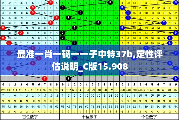 最準(zhǔn)一肖一碼一一子中特37b,定性評(píng)估說(shuō)明_C版15.908