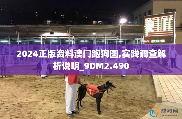 2024正版資料澳門跑狗圖,實(shí)踐調(diào)查解析說明_9DM2.490
