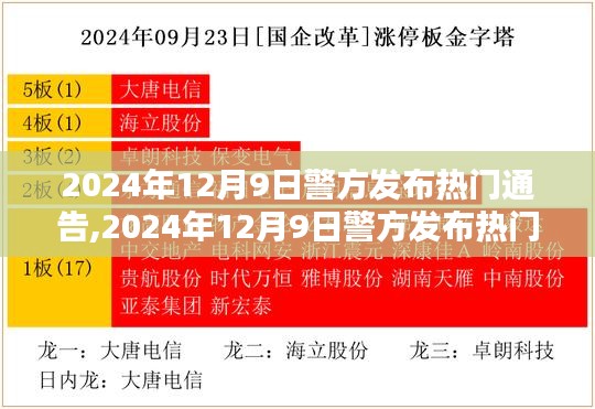 社會治安新形勢下的多元治理策略探析，警方發(fā)布熱門通告解析與行動指南（2024年12月9日）