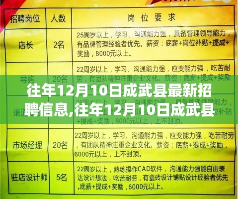 往年12月10日成武縣最新招聘信息深度解析，特性體驗(yàn)、競爭分析與用戶洞察報(bào)告