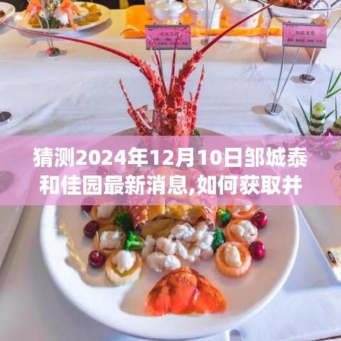 2024年鄒城泰和佳園最新消息解析，獲取與解讀指南（初學(xué)者與進階用戶適用）