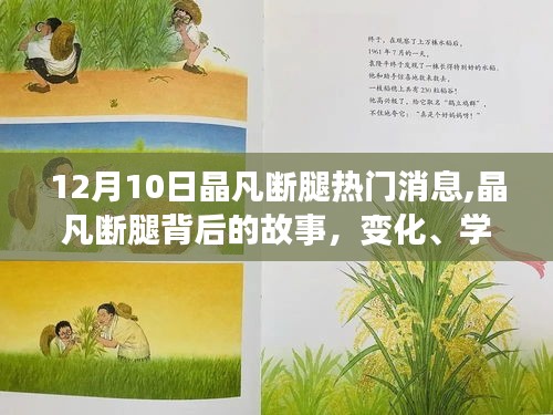 晶凡斷腿背后的故事，變化、學(xué)習(xí)與自信的力量，熱門消息揭秘