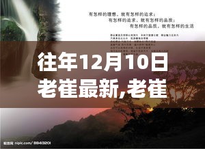 老崔的冬日自然探秘之旅，尋找內(nèi)心的寧靜與自然的魔法力量