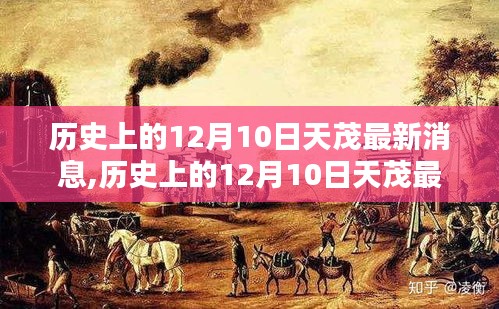 歷史上的12月10日天茂最新消息詳解，步驟指南與最新動態(tài)