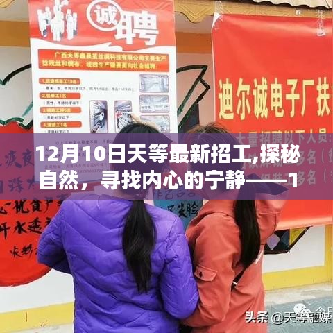 12月10日天等最新招工，探尋自然之美，尋找心靈寧?kù)o之旅