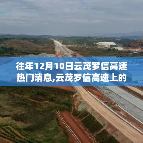 云茂羅信高速暖心故事與奇遇，溫情紐帶在冬日綻放